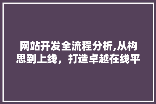网站开发全流程分析,从构思到上线，打造卓越在线平台