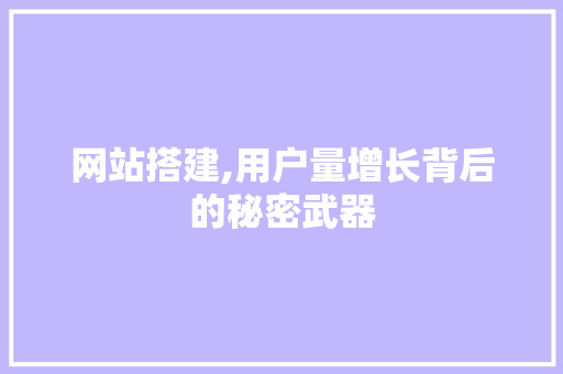 网站搭建,用户量增长背后的秘密武器 网站搭建,用户量增长背后的秘密武器 必应SEO