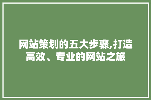 网站策划的五大步骤,打造高效、专业的网站之旅 GoogleSEO 网站策划的五大步骤,打造高效、专业的网站之旅 网站策划的五大步骤,打造高效、专业的网站之旅 GoogleSEO