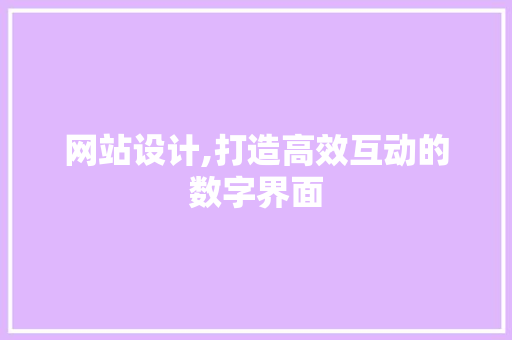 网站设计,打造高效互动的数字界面