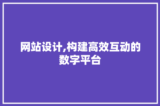 网站设计,构建高效互动的数字平台