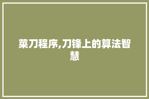 菜刀程序,刀锋上的算法智慧 菜刀程序,刀锋上的算法智慧 必应SEO
