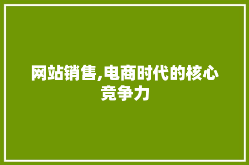 网站销售,电商时代的核心竞争力 网站销售,电商时代的核心竞争力 神马SEO