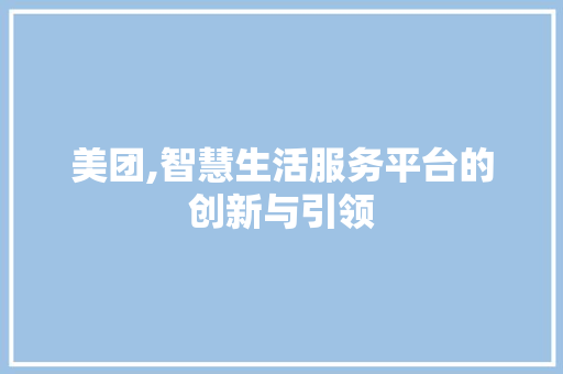美团,智慧生活服务平台的创新与引领 美团,智慧生活服务平台的创新与引领 GoogleSEO