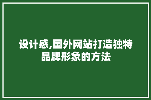 设计感,国外网站打造独特品牌形象的方法 设计感,国外网站打造独特品牌形象的方法 神马SEO