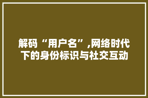 解码“用户名”,网络时代下的身份标识与社交互动 解码“用户名”,网络时代下的身份标识与社交互动 GoogleSEO
