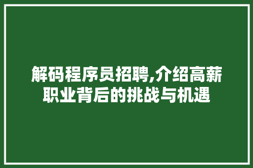 解码程序员招聘,介绍高薪职业背后的挑战与机遇 解码程序员招聘,介绍高薪职业背后的挑战与机遇 必应SEO
