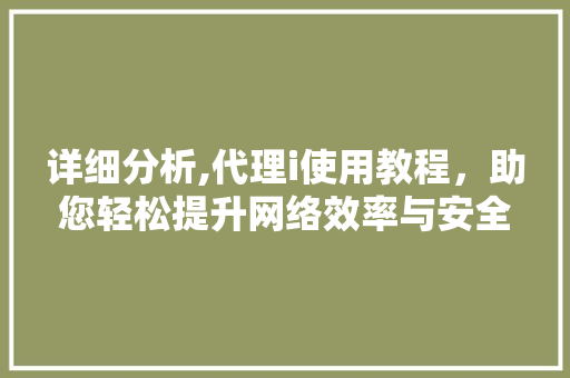 详细分析,代理i使用教程，助您轻松提升网络效率与安全 详细分析,代理i使用教程，助您轻松提升网络效率与安全 神马SEO