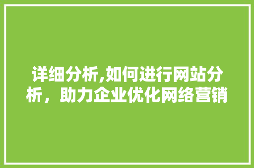 详细分析,如何进行网站分析，助力企业优化网络营销步骤 详细分析,如何进行网站分析，助力企业优化网络营销步骤 必应SEO