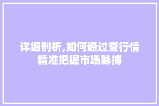 详细剖析,如何通过查行情精准把握市场脉搏