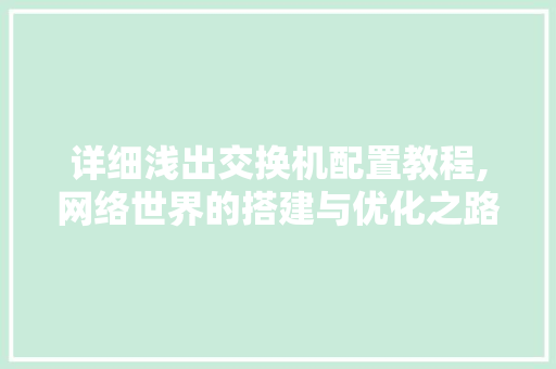 详细浅出交换机配置教程,网络世界的搭建与优化之路 详细浅出交换机配置教程,网络世界的搭建与优化之路 必应SEO