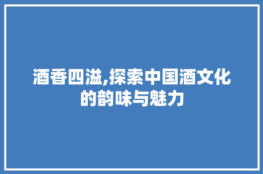 酒香四溢,探索中国酒文化的韵味与魅力