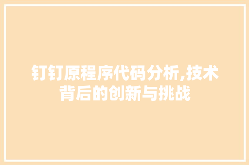钉钉原程序代码分析,技术背后的创新与挑战