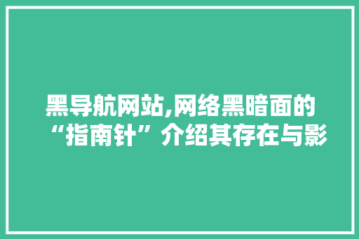 黑导航网站,网络黑暗面的“指南针”介绍其存在与影响 黑导航网站,网络黑暗面的“指南针”介绍其存在与影响 GoogleSEO