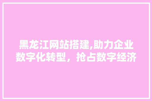 黑龙江网站搭建,助力企业数字化转型，抢占数字经济高地 黑龙江网站搭建,助力企业数字化转型，抢占数字经济高地 神马SEO