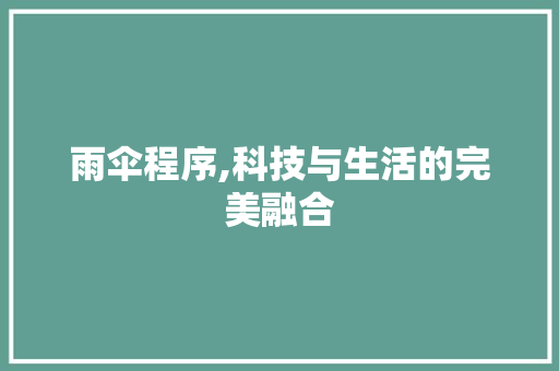 雨伞程序,科技与生活的完美融合 雨伞程序,科技与生活的完美融合 GoogleSEO