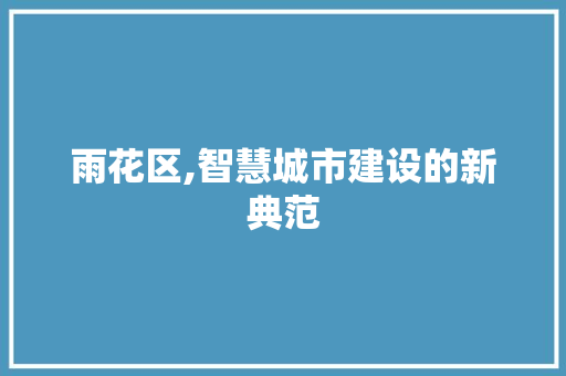 雨花区,智慧城市建设的新典范 雨花区,智慧城市建设的新典范 神马SEO