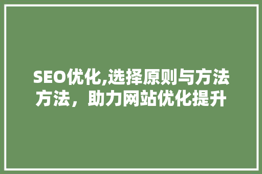 SEO优化,选择原则与方法方法，助力网站优化提升 SEO优化,选择原则与方法方法，助力网站优化提升 百度SEO