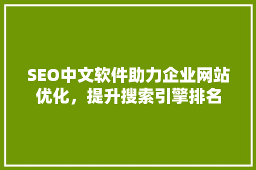 SEO中文软件助力企业网站优化，提升搜索引擎排名 SEO中文软件助力企业网站优化，提升搜索引擎排名 GoogleSEO