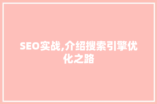 SEO实战,介绍搜索引擎优化之路