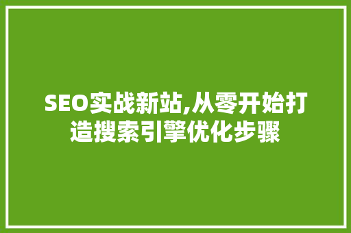 SEO实战新站,从零开始打造搜索引擎优化步骤 SEO实战新站,从零开始打造搜索引擎优化步骤 GoogleSEO