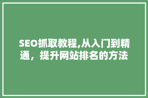 SEO抓取教程,从入门到精通，提升网站排名的方法 SEO抓取教程,从入门到精通，提升网站排名的方法 搜狗SEO