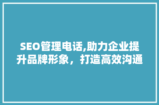 SEO管理电话,助力企业提升品牌形象，打造高效沟通桥梁