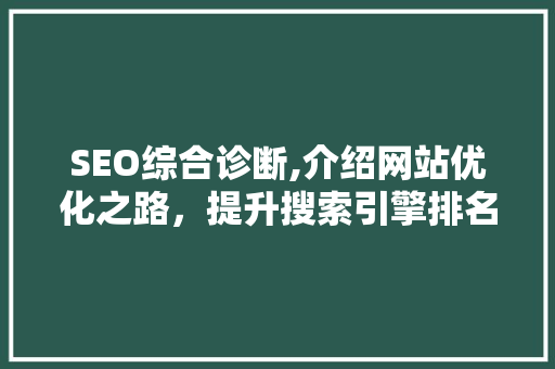 SEO综合诊断,介绍网站优化之路，提升搜索引擎排名 SEO综合诊断,介绍网站优化之路，提升搜索引擎排名 搜狗SEO