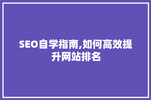 SEO自学指南,如何高效提升网站排名