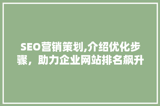 SEO营销策划,介绍优化步骤，助力企业网站排名飙升 SEO营销策划,介绍优化步骤，助力企业网站排名飙升 百度SEO