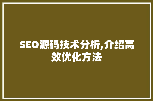 SEO源码技术分析,介绍高效优化方法