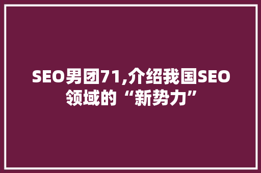 SEO男团71,介绍我国SEO领域的“新势力” SEO男团71,介绍我国SEO领域的“新势力” 必应SEO