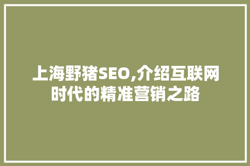 上海野猪SEO,介绍互联网时代的精准营销之路 上海野猪SEO,介绍互联网时代的精准营销之路 搜狗SEO