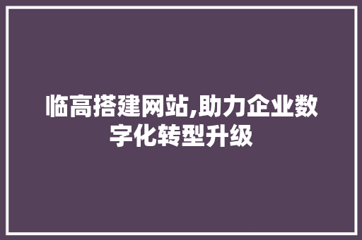 临高搭建网站,助力企业数字化转型升级 临高搭建网站,助力企业数字化转型升级 GoogleSEO