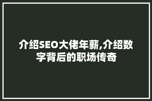 介绍SEO大佬年薪,介绍数字背后的职场传奇