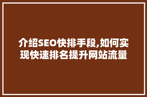 介绍SEO快排手段,如何实现快速排名提升网站流量