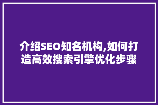 介绍SEO知名机构,如何打造高效搜索引擎优化步骤