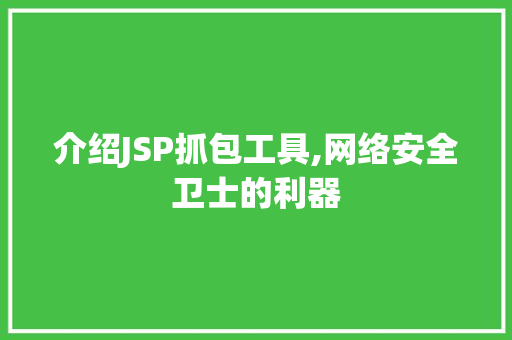 介绍JSP抓包工具,网络安全卫士的利器 介绍JSP抓包工具,网络安全卫士的利器 GoogleSEO