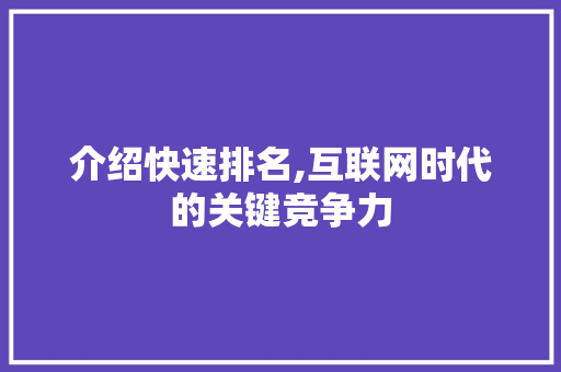 介绍快速排名,互联网时代的关键竞争力 介绍快速排名,互联网时代的关键竞争力 必应SEO