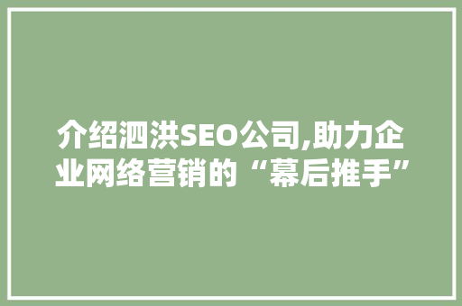 介绍泗洪SEO公司,助力企业网络营销的“幕后推手”