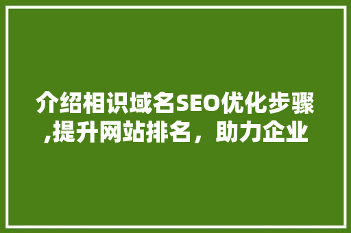 介绍相识域名SEO优化步骤,提升网站排名，助力企业品牌崛起 介绍相识域名SEO优化步骤,提升网站排名，助力企业品牌崛起 必应SEO
