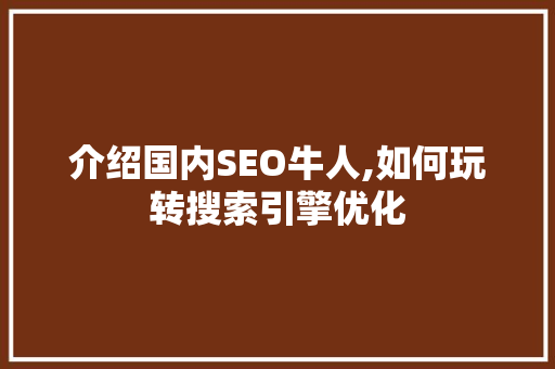 介绍国内SEO牛人,如何玩转搜索引擎优化 介绍国内SEO牛人,如何玩转搜索引擎优化 百度SEO