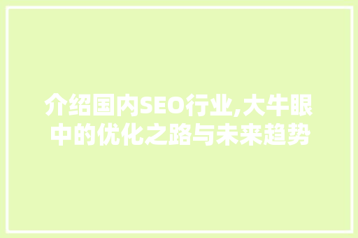 介绍国内SEO行业,大牛眼中的优化之路与未来趋势