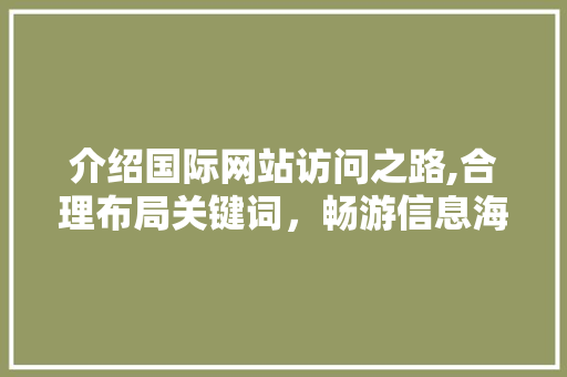 介绍国际网站访问之路,合理布局关键词，畅游信息海洋 介绍国际网站访问之路,合理布局关键词，畅游信息海洋 搜狗SEO