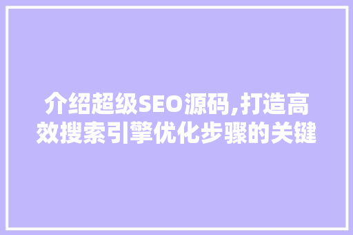 介绍超级SEO源码,打造高效搜索引擎优化步骤的关键