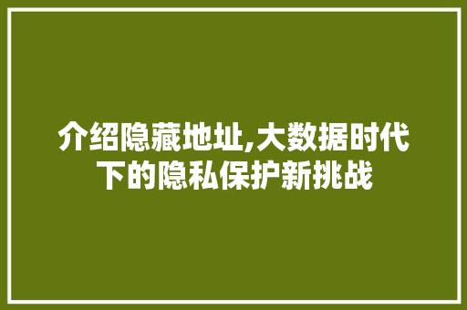 介绍隐藏地址,大数据时代下的隐私保护新挑战 介绍隐藏地址,大数据时代下的隐私保护新挑战 必应SEO