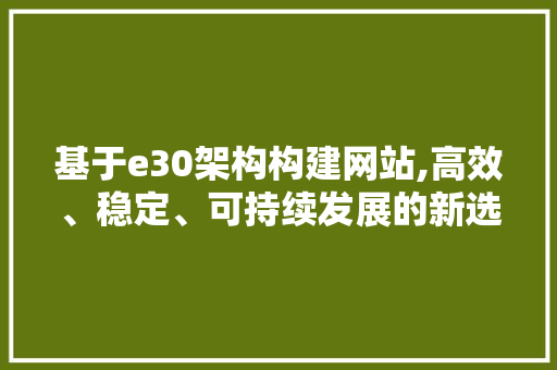 基于e30架构构建网站,高效、稳定、可持续发展的新选择 基于e30架构构建网站,高效、稳定、可持续发展的新选择 GoogleSEO
