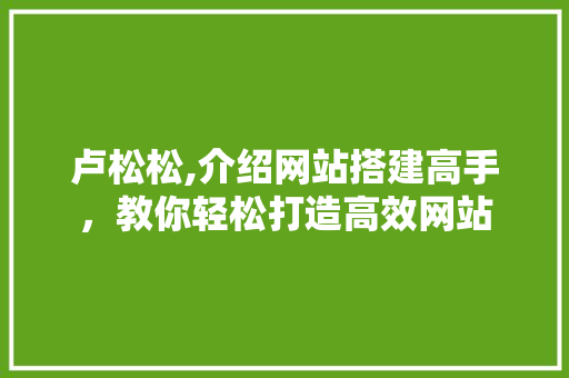 卢松松,介绍网站搭建高手，教你轻松打造高效网站 卢松松,介绍网站搭建高手，教你轻松打造高效网站 GoogleSEO
