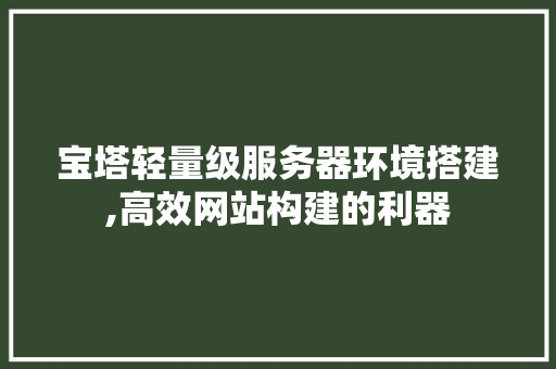宝塔轻量级服务器环境搭建,高效网站构建的利器 宝塔轻量级服务器环境搭建,高效网站构建的利器 必应SEO