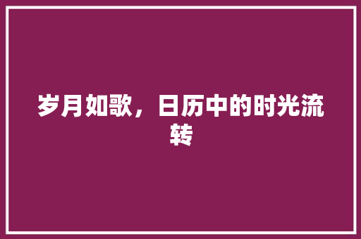 岁月如歌，日历中的时光流转 岁月如歌，日历中的时光流转 搜狗SEO